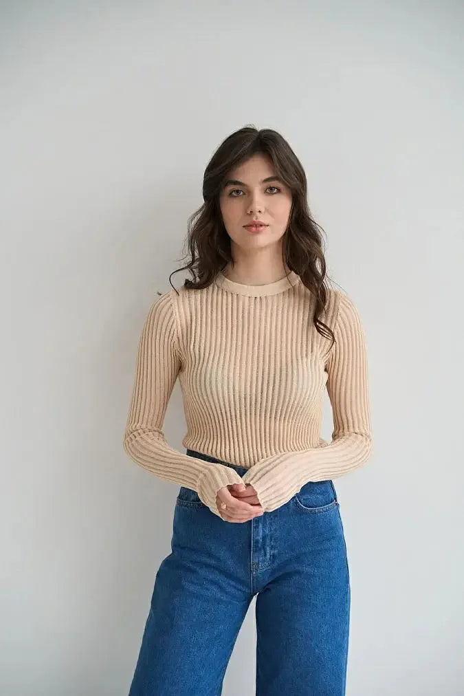 Long Sleeve triped See Through top
