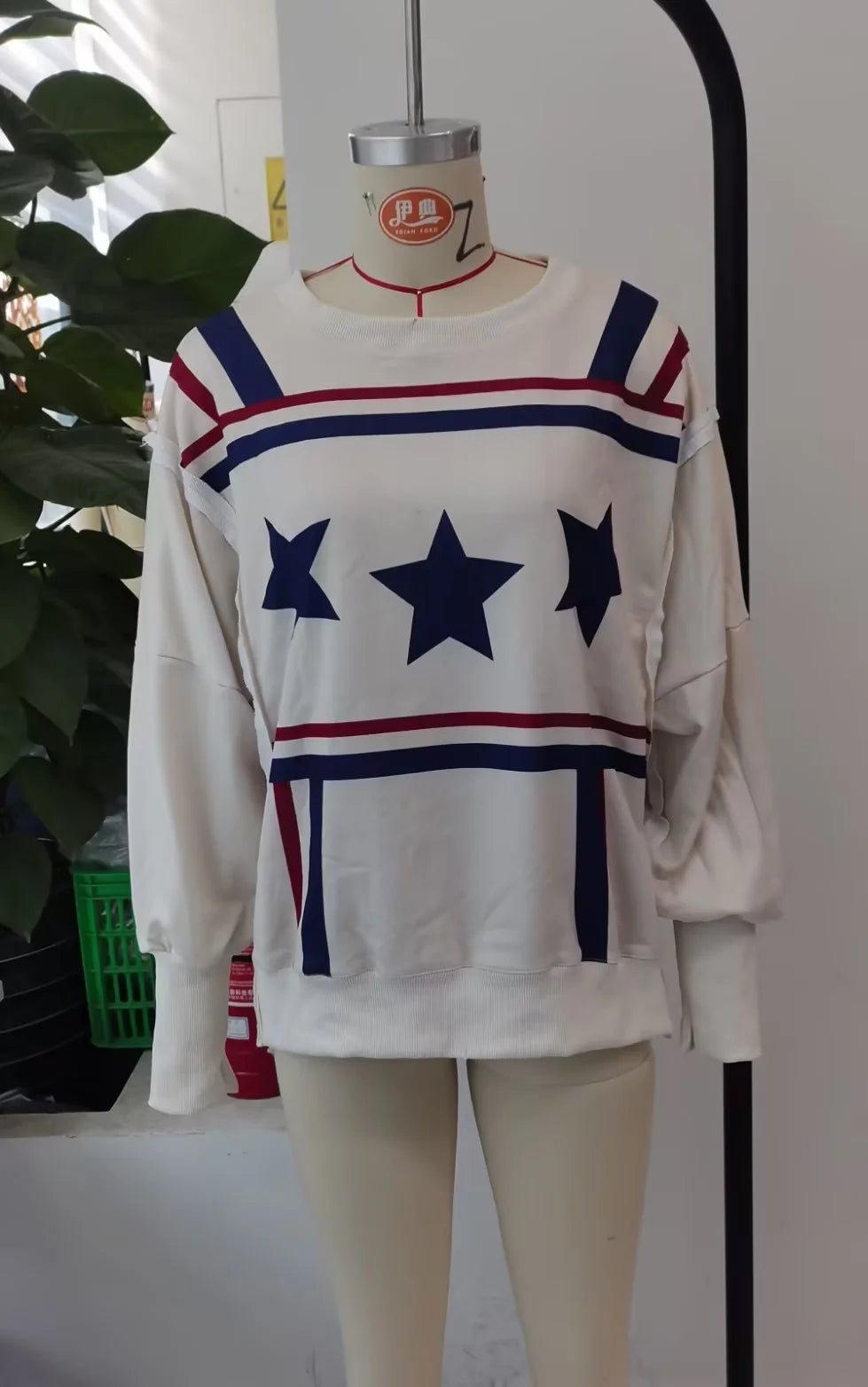 Graphic Long Sleeve Crewneck Shirt