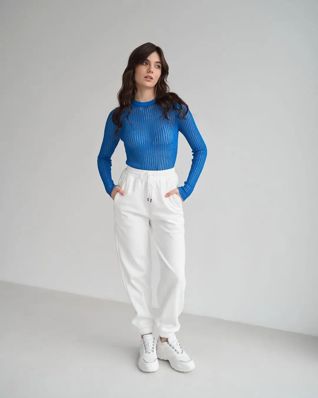 Long Sleeve triped See Through top