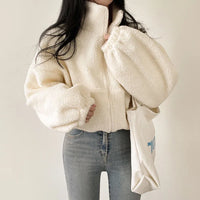 Lamb Wool Zipper Coat